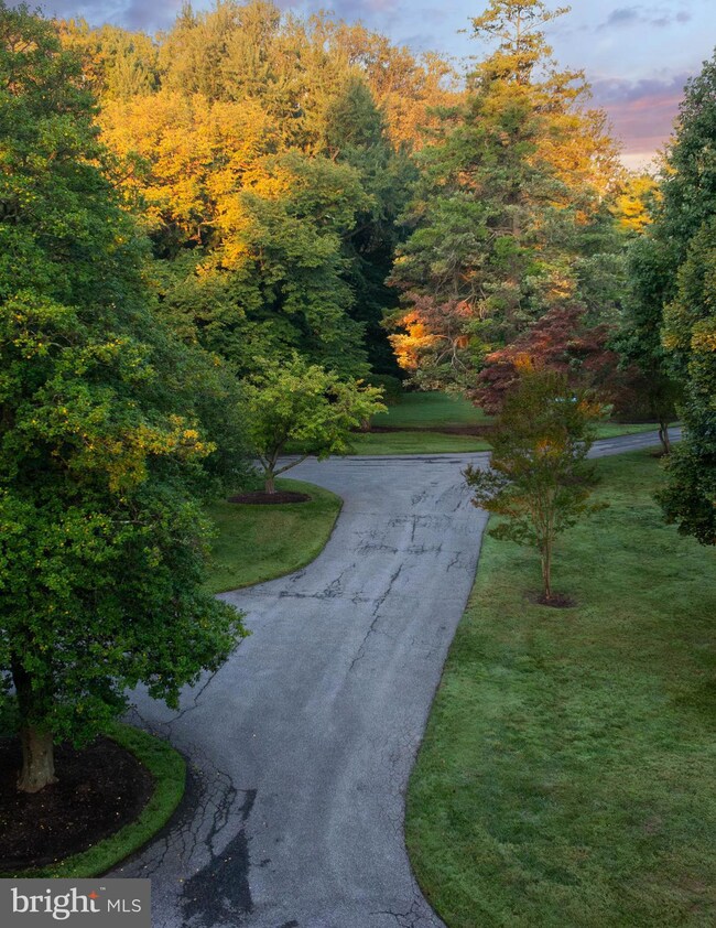 8555 Hill Spring Dr, Lutherville Timonium, MD 21093 - photo 7
