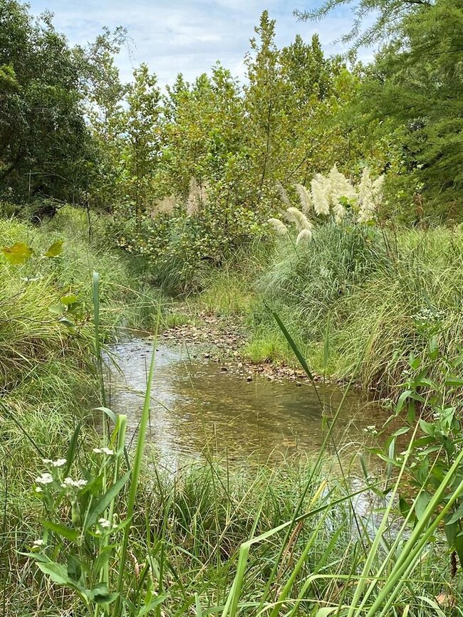 173 Basse Ln, Fredericksburg, TX 78624 - photo 3