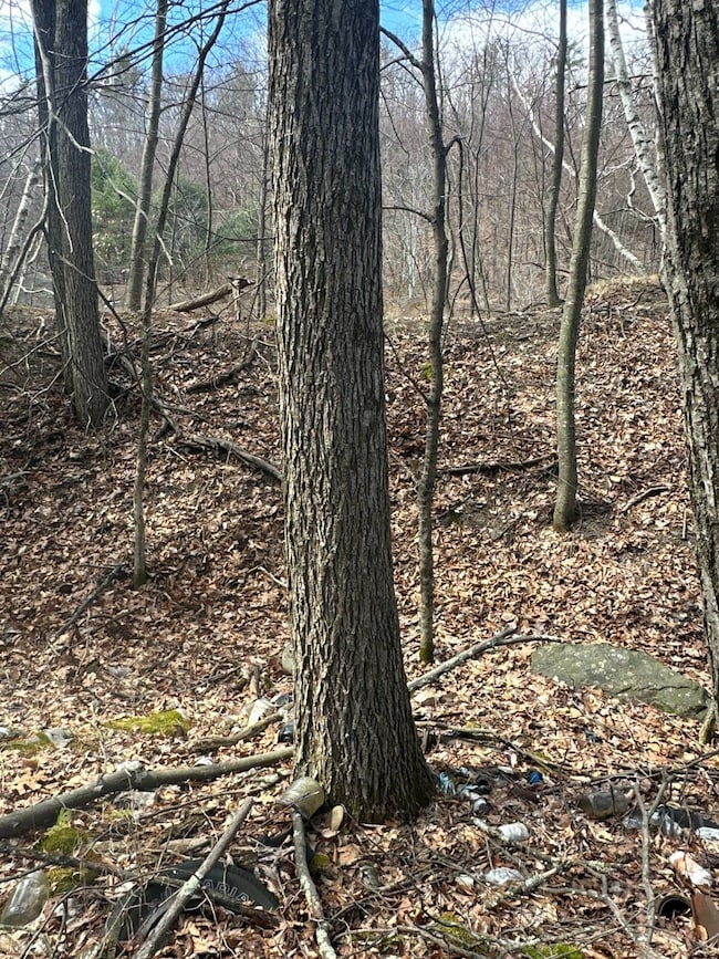 002WP Reservoir Rd, New Baltimore, NY 12192 - photo 7