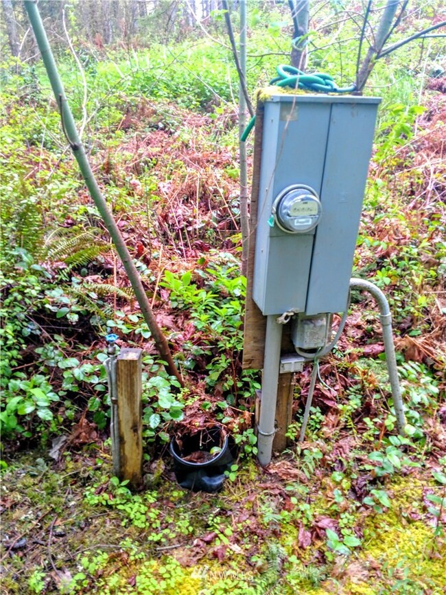 17301 17302 Hill Ct SE, Yelm, WA 98597 - photo 6