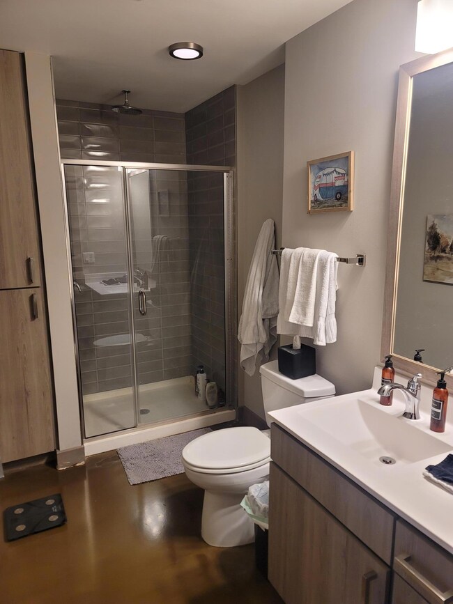 728 3rd St N unit 201, Minneapolis, MN 55401 - photo 6