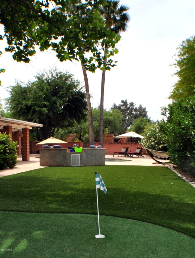 Backyard
