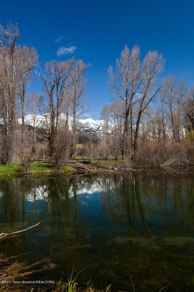 Seasonal Stream II
