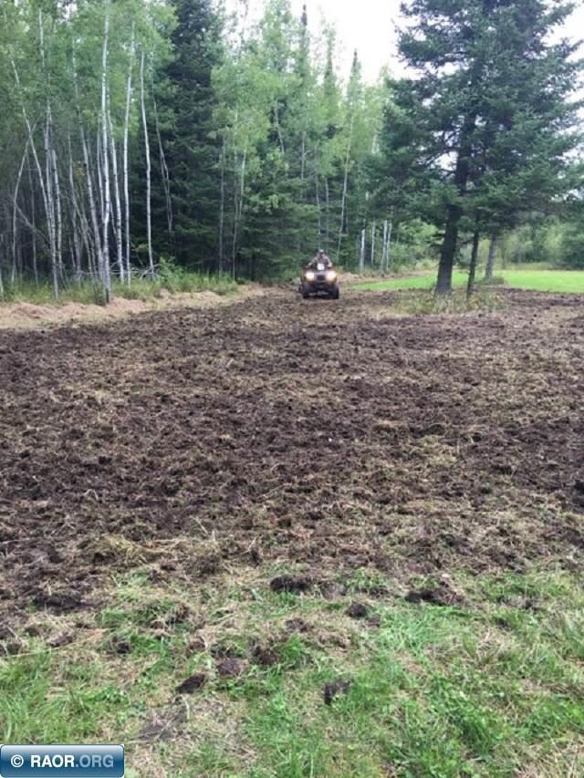 TBD Arkola Rd, Toivola, MN 55765 - photo 4