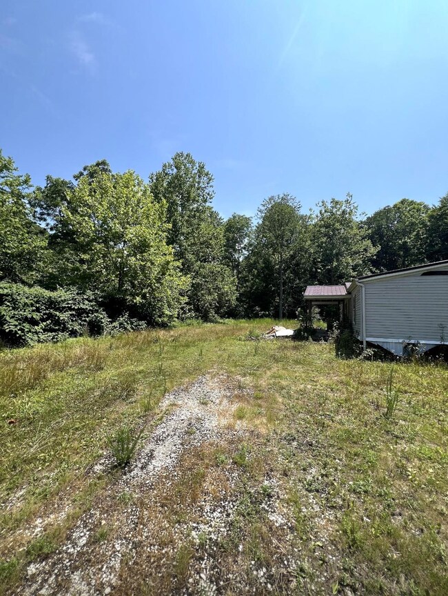 4 Mile Creek 30 25 Acres, Branchland, WV 25506 - photo 3