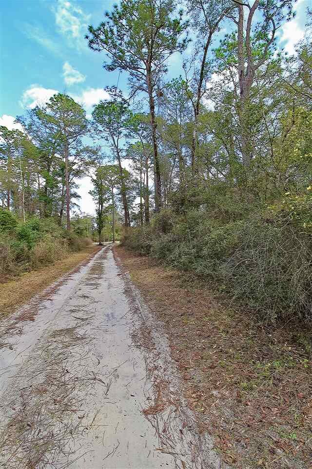 0 Honor Dr unit 315967, Crawfordville, FL 32327 - photo 6