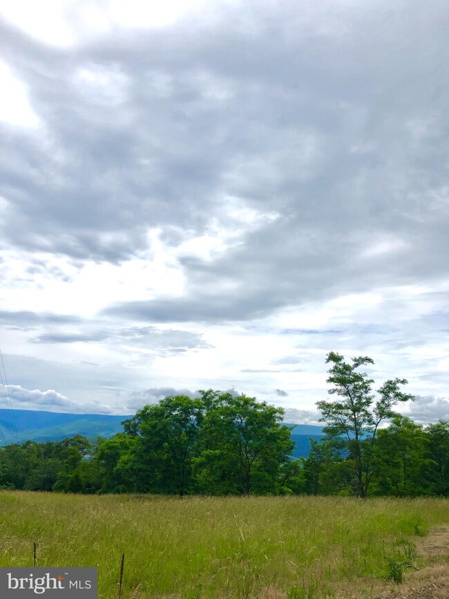 27.16 ACRES Charlies Knob, Petersburg, WV 26847 - photo 4