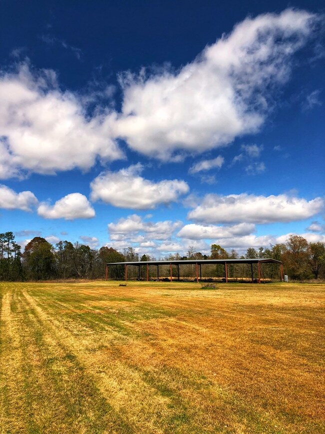 425 Everson Rd, Colquitt, GA 39837 - photo 2