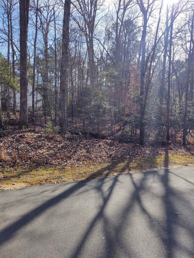 103 Santee Dr, Louisburg, NC 27549 - photo 5