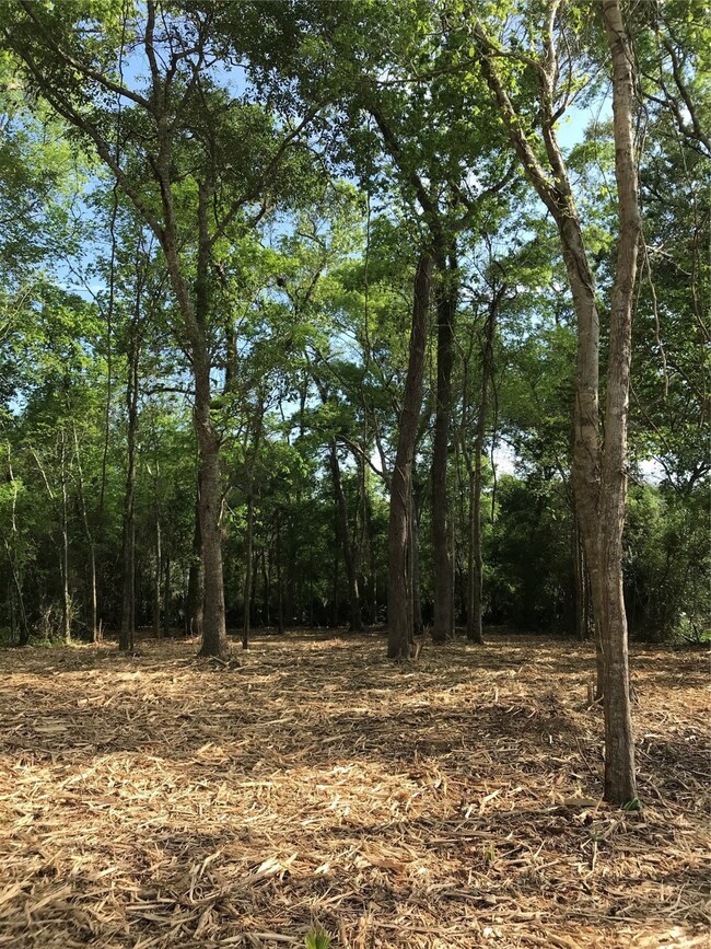 0 County Road 417 Parkway Dr unit 10051907, Dayton, TX 77535 - photo 3