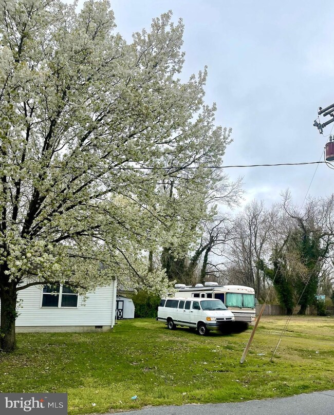 1007 Central Ave unit 1009, Cambridge, MD 21613 - photo 3