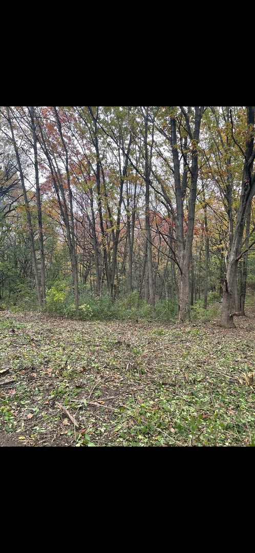 7 Autumn Trail, Barrington, IL 60010 - photo 7