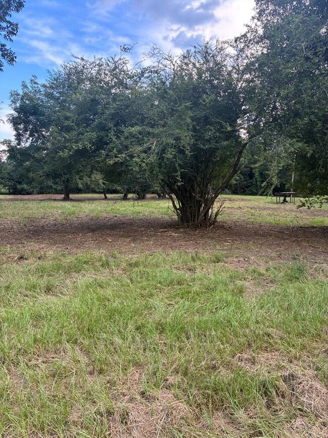 569 Henry Hart Rd, Leslie, GA 31764 - photo 4