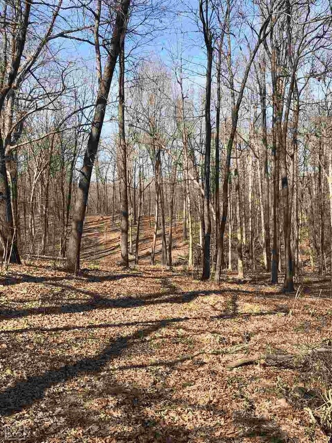 357 Cr 372, Bono, AR 72416 - photo 5