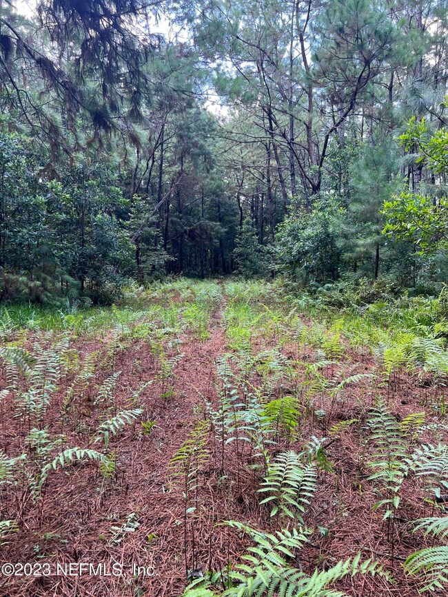 19D974FD-CEF9-48F5-8325-6DD7A5528FB3