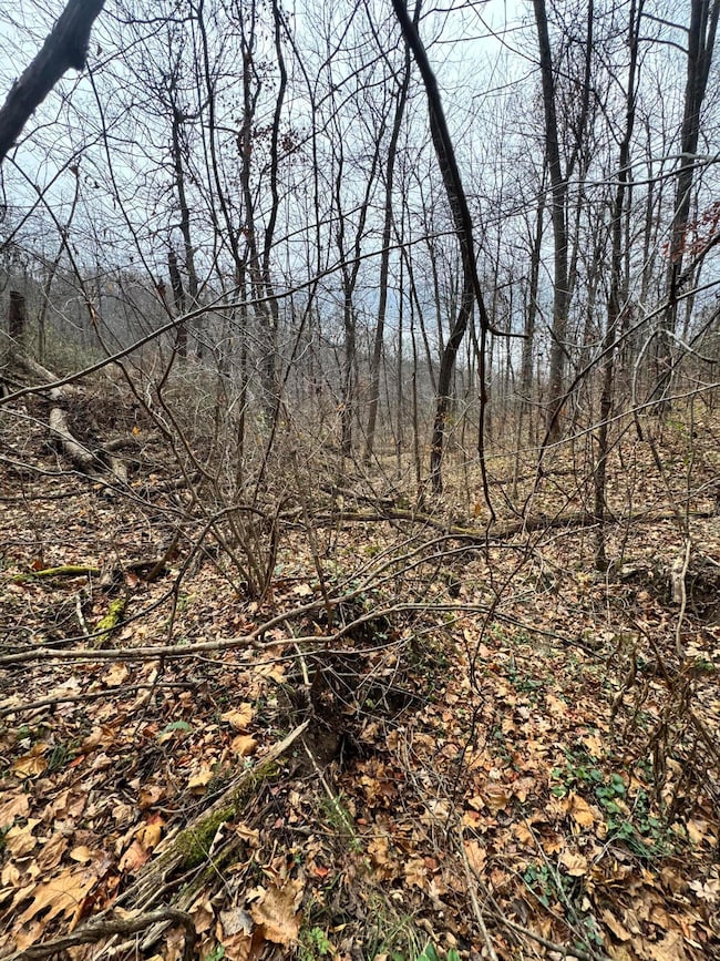 7099 Furnace Rd, Stanton, KY 40380 - photo 7