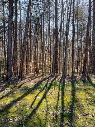 4063 Dakeita Cir unit 38-39, Concord, NC 28025 - photo 5