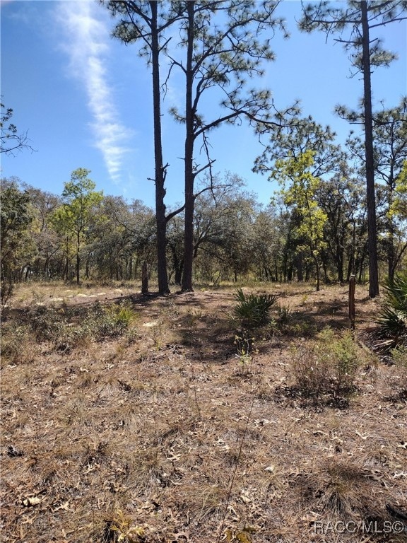 8486 N Calcutta Ave, Dunnellon, FL 34433 - photo 2