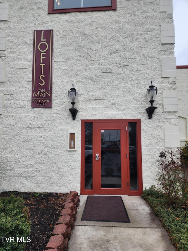 555 E Main St unit 201, Kingsport, TN 37660 - photo 2