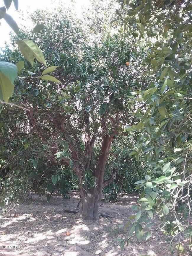 4148 E Nora Cir, Mesa, AZ 85215 - photo 6