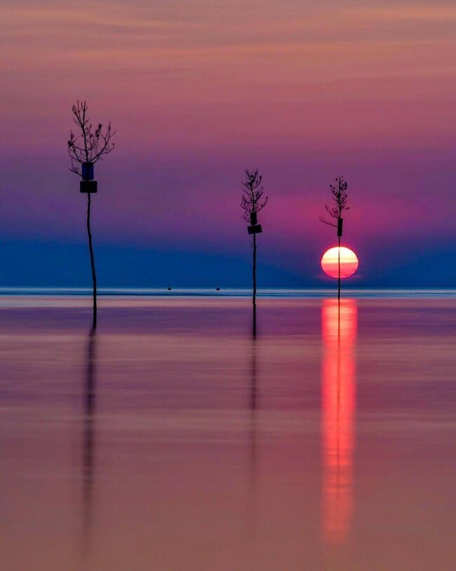 rock harbor
