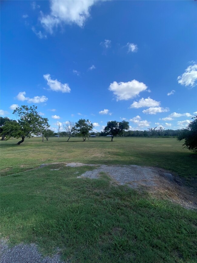 TBD County Road 519, Brazoria, TX 77422 - photo 4