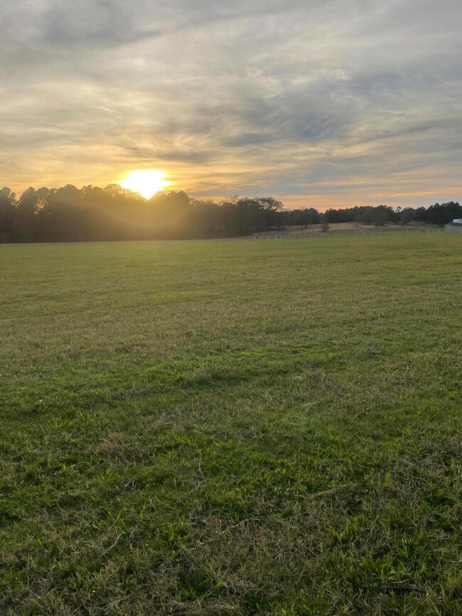 Lot 3 facing west