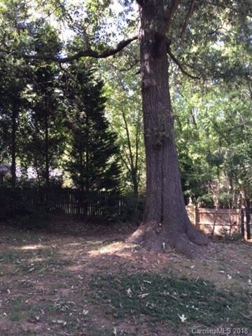 Spacious and flat backyard