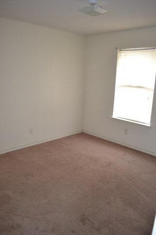 1006 Imelda, Edinburg, TX 78541 - photo 7