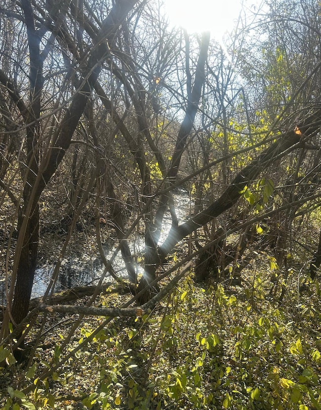 TBD 438th St, Harris, MN 55032 - photo 5