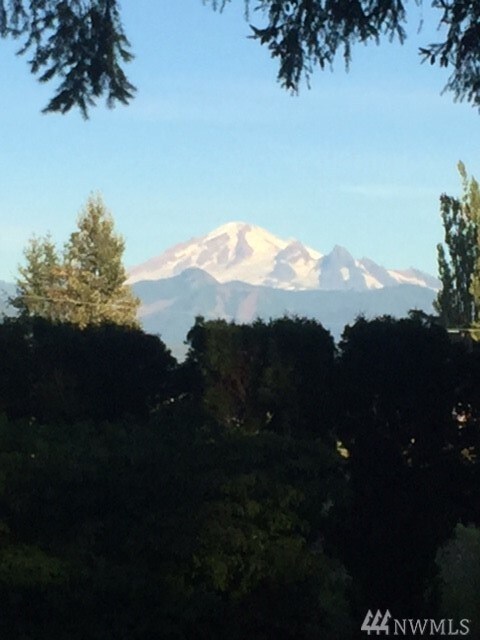 1520 E Hemmi Rd, Everson, WA 98247 - photo 2