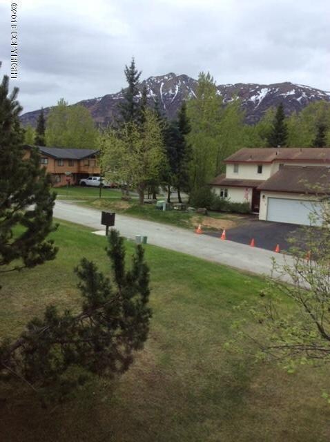 Jones View
