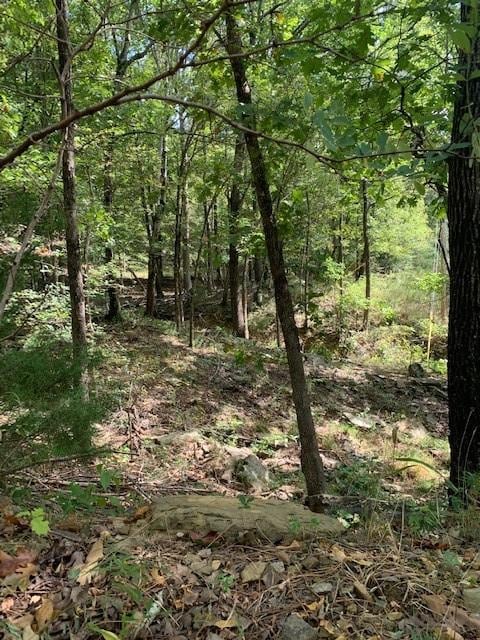 0 Patton Rd, West Fork Township, AR 72774 - photo 3