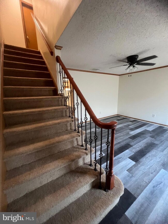 1210 Apple St, Wilmington, DE 19801 - photo 4