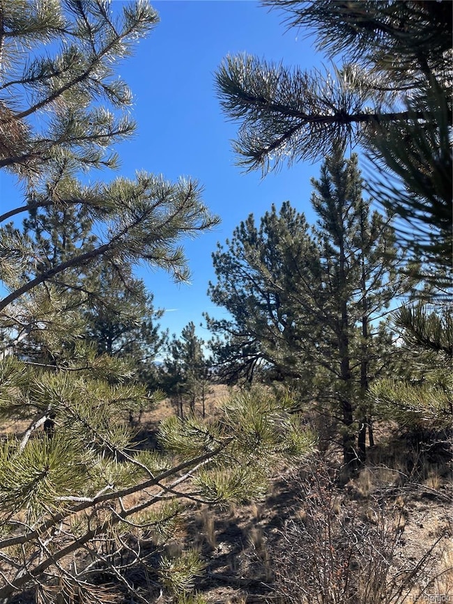 00 Oak St, Hartsel, CO 80449 - photo 2