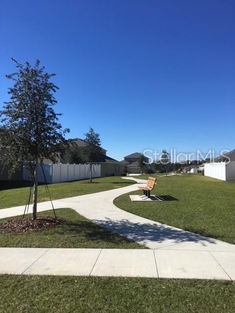 3121 Beth Page Loop, Mount Dora, FL 32757 - photo 5