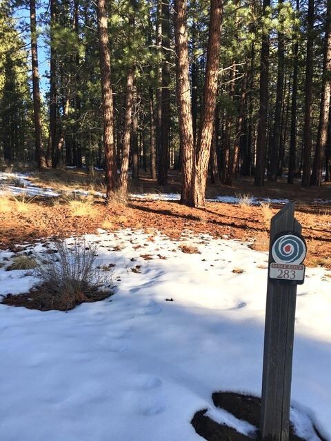 56197 Sable Rock Loop, Bend, OR 97707 - photo 3