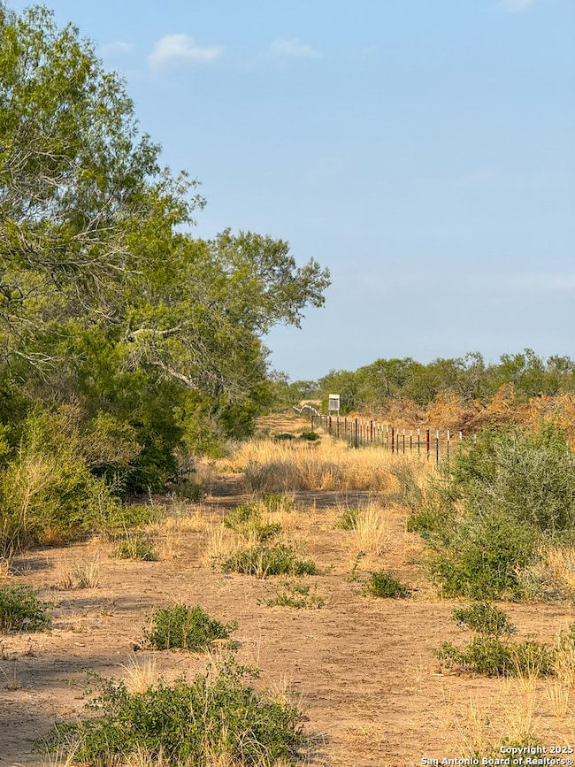 6870 County Road 329 (Tract 1), Jourdanton, TX 78026 - photo 5