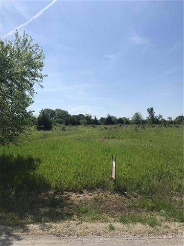 153 N Linn Valley Dr, Linn Valley, KS 66040 - photo 4