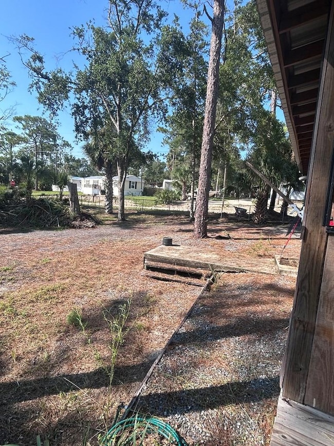 503 Cedar St, Steinhatchee, FL 32359 - photo 4