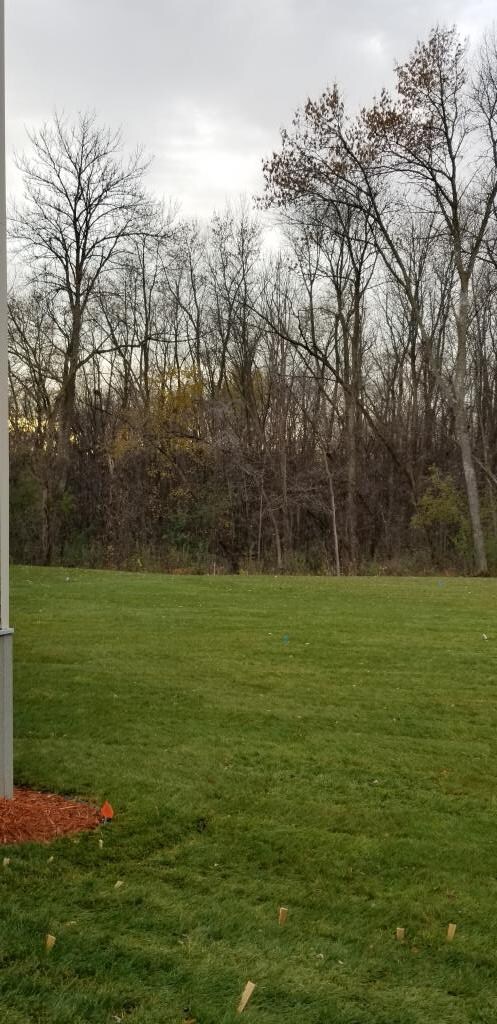 A nice summer day view of this backyard!
