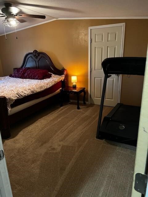 19002 Stonewall Rd Cr 669a, Alvin, TX 77511 - photo 7