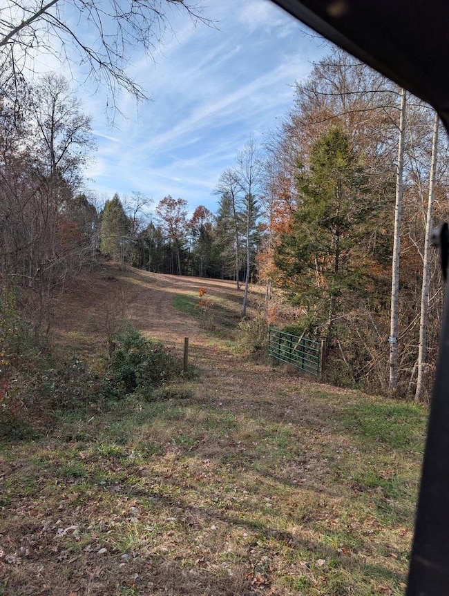 1195 Big Stone Rd, Sandy Hook, KY 41171 - photo 6