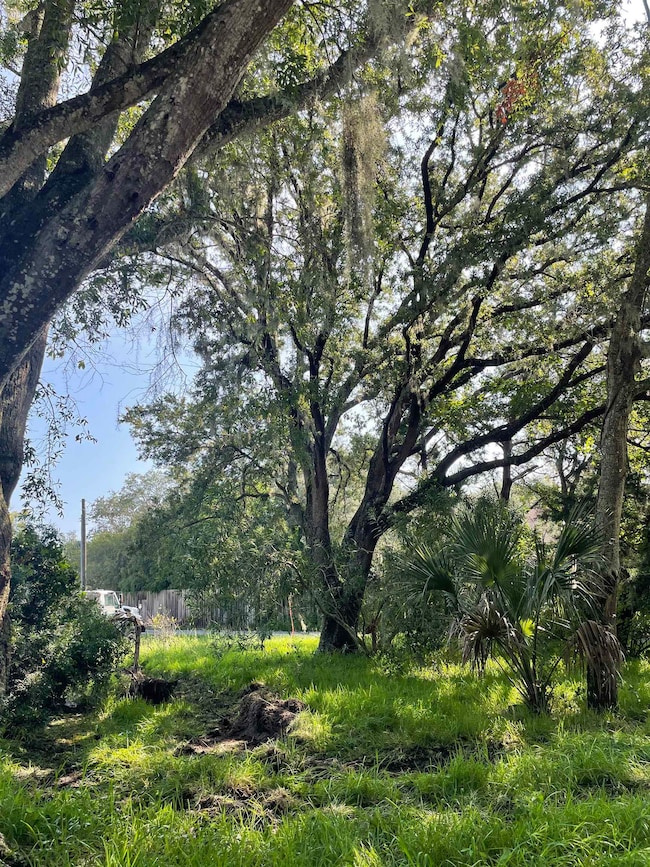 0 Madrid St Lot 3, Saint Augustine Beach, FL 32080 - photo 3