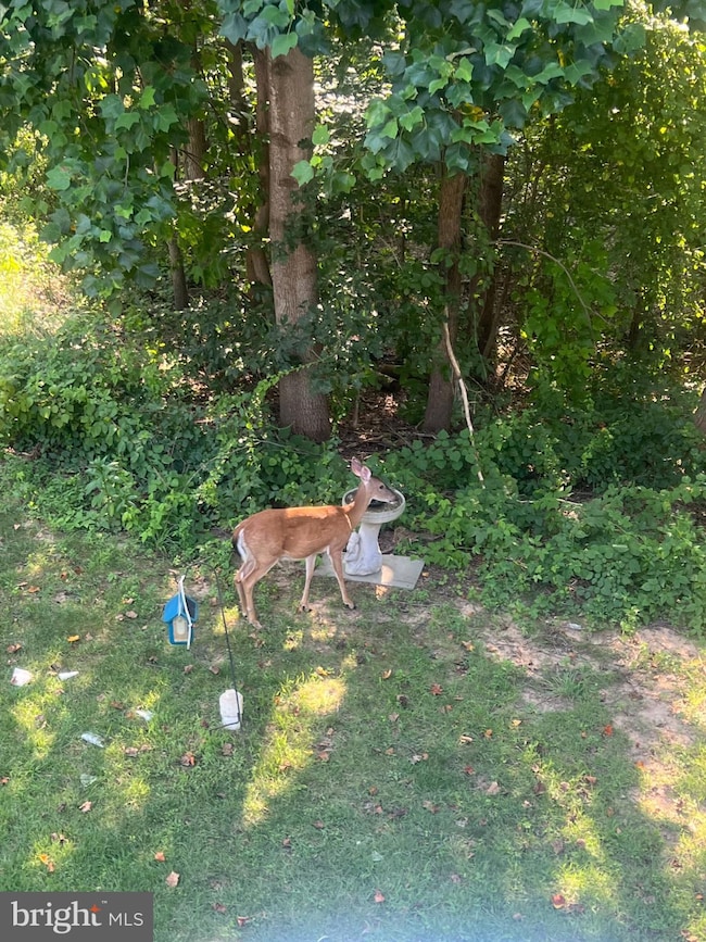 2708 Thornbrook Ct, Odenton, MD 21113 - photo 7