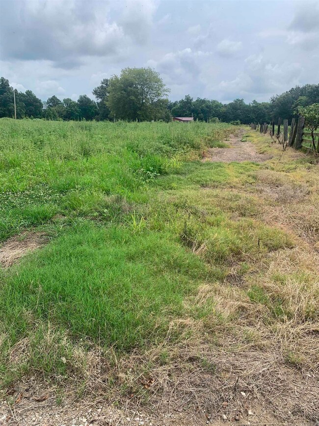 21 Acres W Oak St, Walnut Ridge, AR 72476 - photo 6