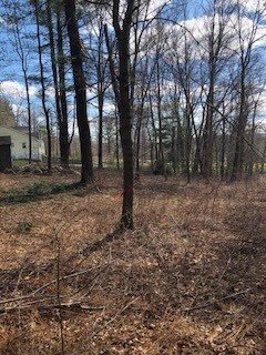 268 Greenville Rd, North Smithfield, RI 02896 - photo 2