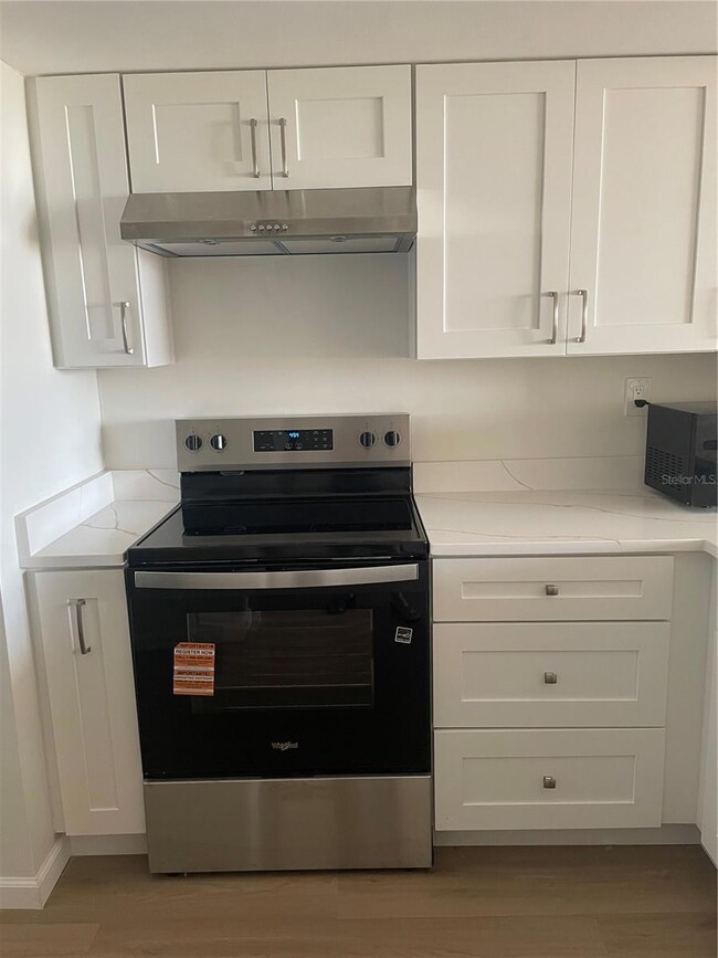 Palma del Mar Building E & F unit 501, Saint Petersburg, FL 33715 - photo 6