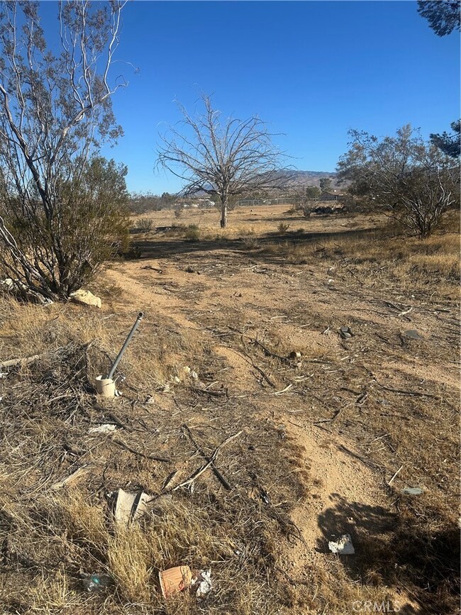 11025 Central Rd, Apple Valley, CA 92308 - photo 7