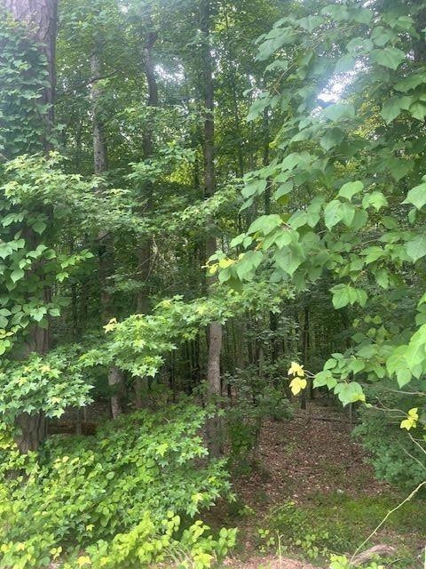 0 Butner Rd SW unit 7397698, Atlanta, GA 30331 - photo 3